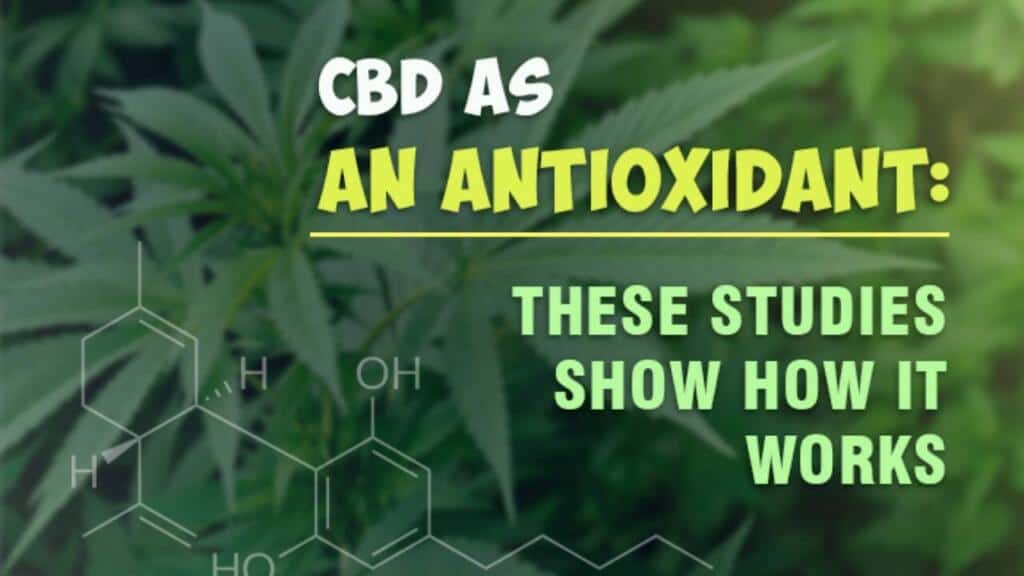 People Are Using CBD in their Cooking 37 CBD Antioxidants