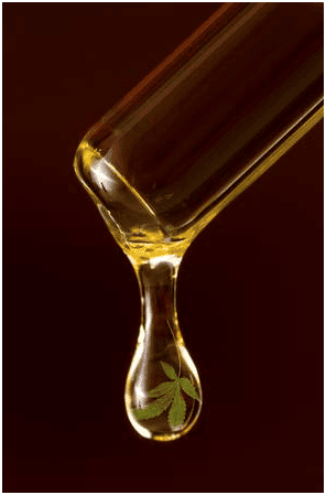 What is CBD isolate?