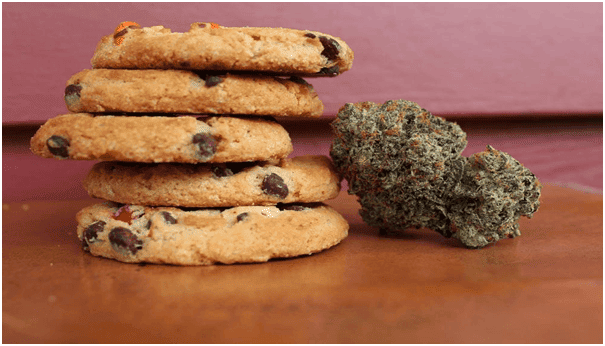 CBD Edibles