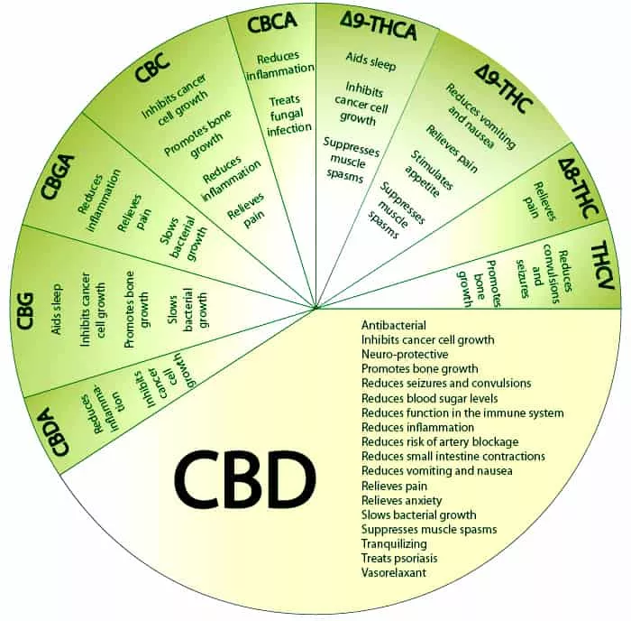 CBD Wheel